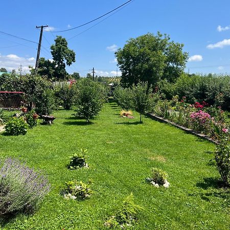 Accommodation Casa Luca Horezu Εξωτερικό φωτογραφία