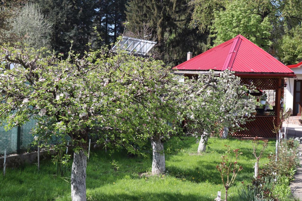 Accommodation Casa Luca Horezu Εξωτερικό φωτογραφία